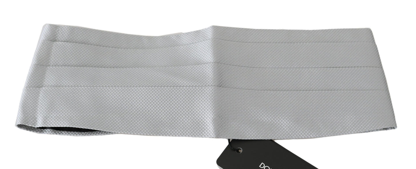 Ceinture élégante en soie grise Dolce & Gabbana